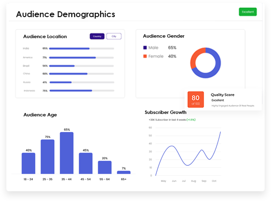 Audience Analytics